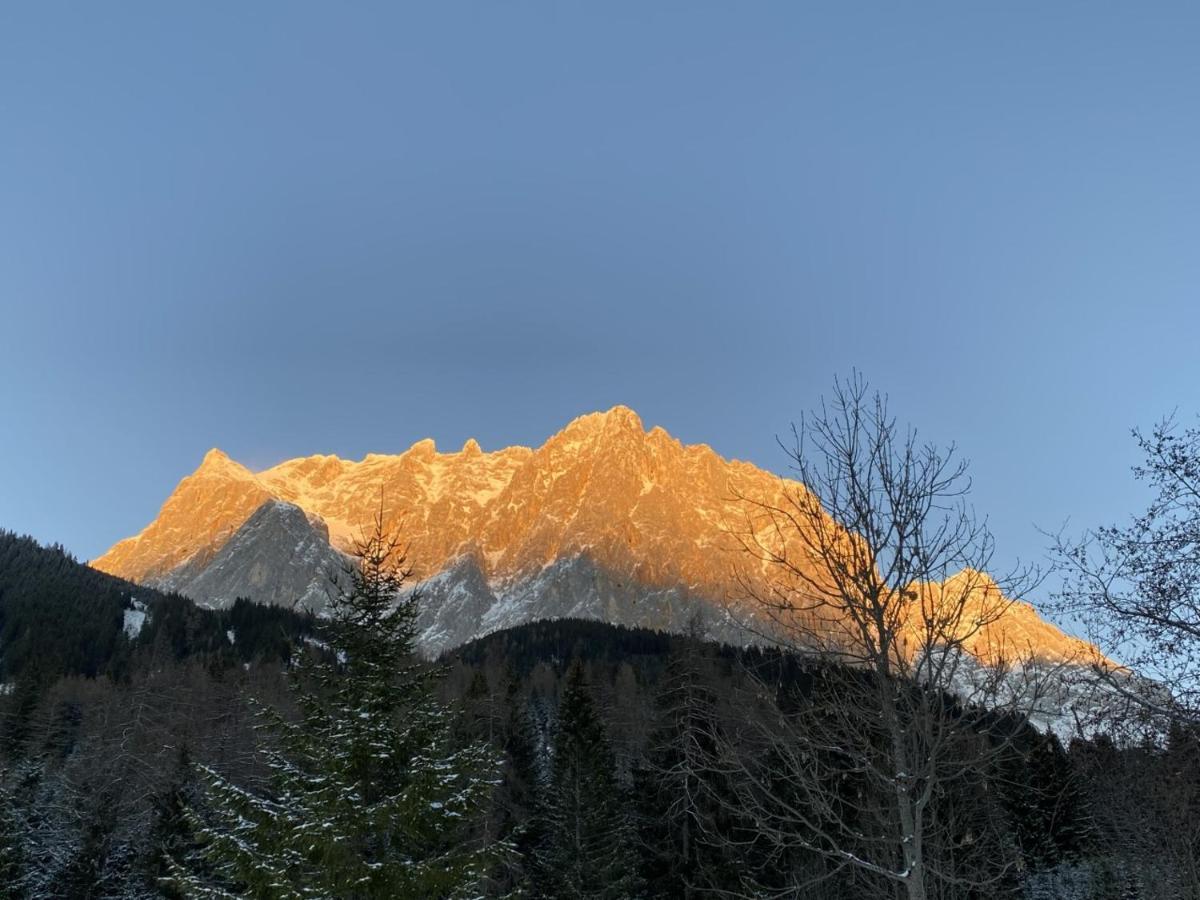 エールヴァルトHaus Alpengluehenアパートメント エクステリア 写真